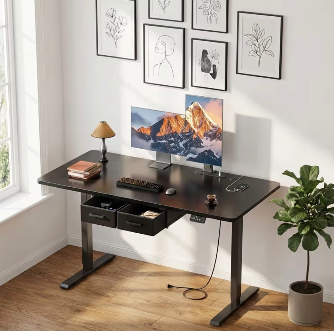 Electric Height Adjustable Desk Computer & Gaming Desk w/ Dual Drawers
