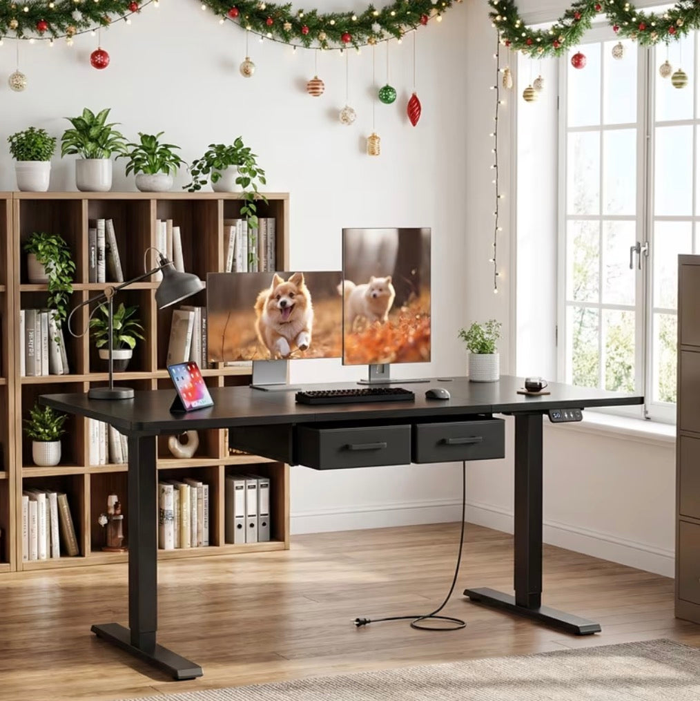 Electric Height Adjustable Desk Computer & Gaming Desk w/ Dual Drawers