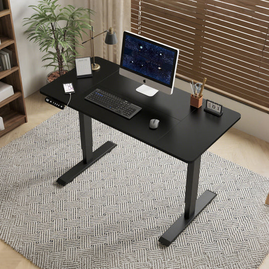 Electric Standing Desk - Black