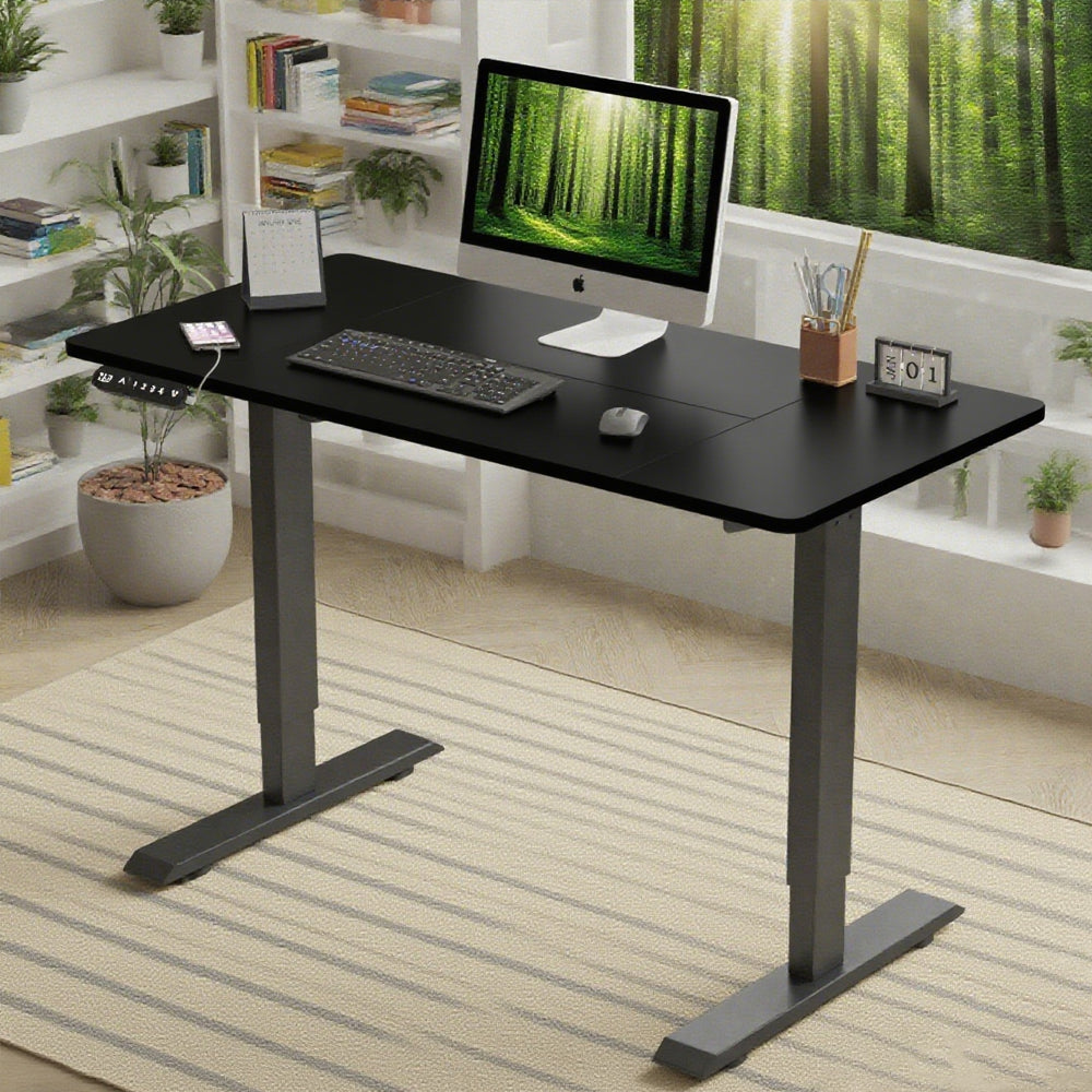 Electric Standing Desk - Black